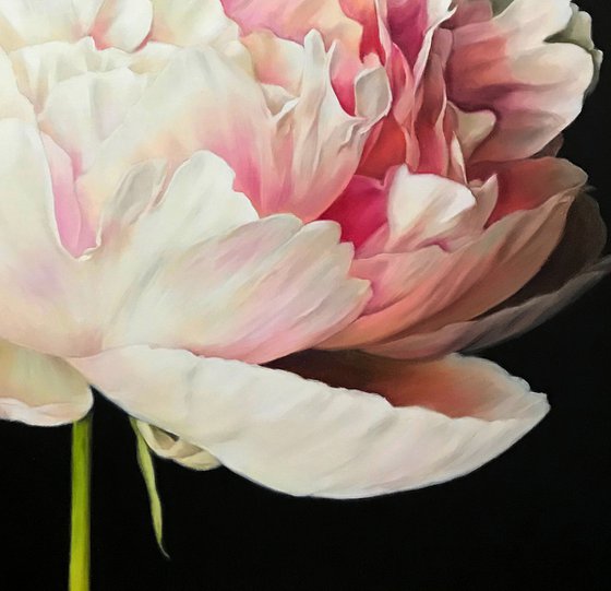 Square painting with peony on black 70*70 cm