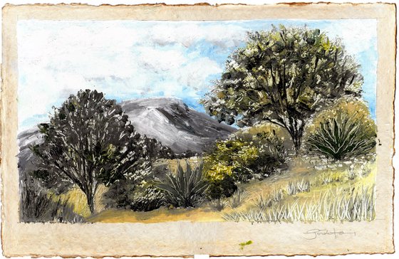 Mediterranean / Held Between Slopes