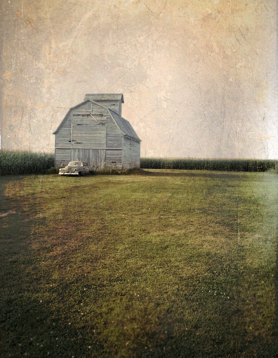 Photorealistic Landscape Photograph By Robert Tolchin, 16 X 20", Best Of All, It