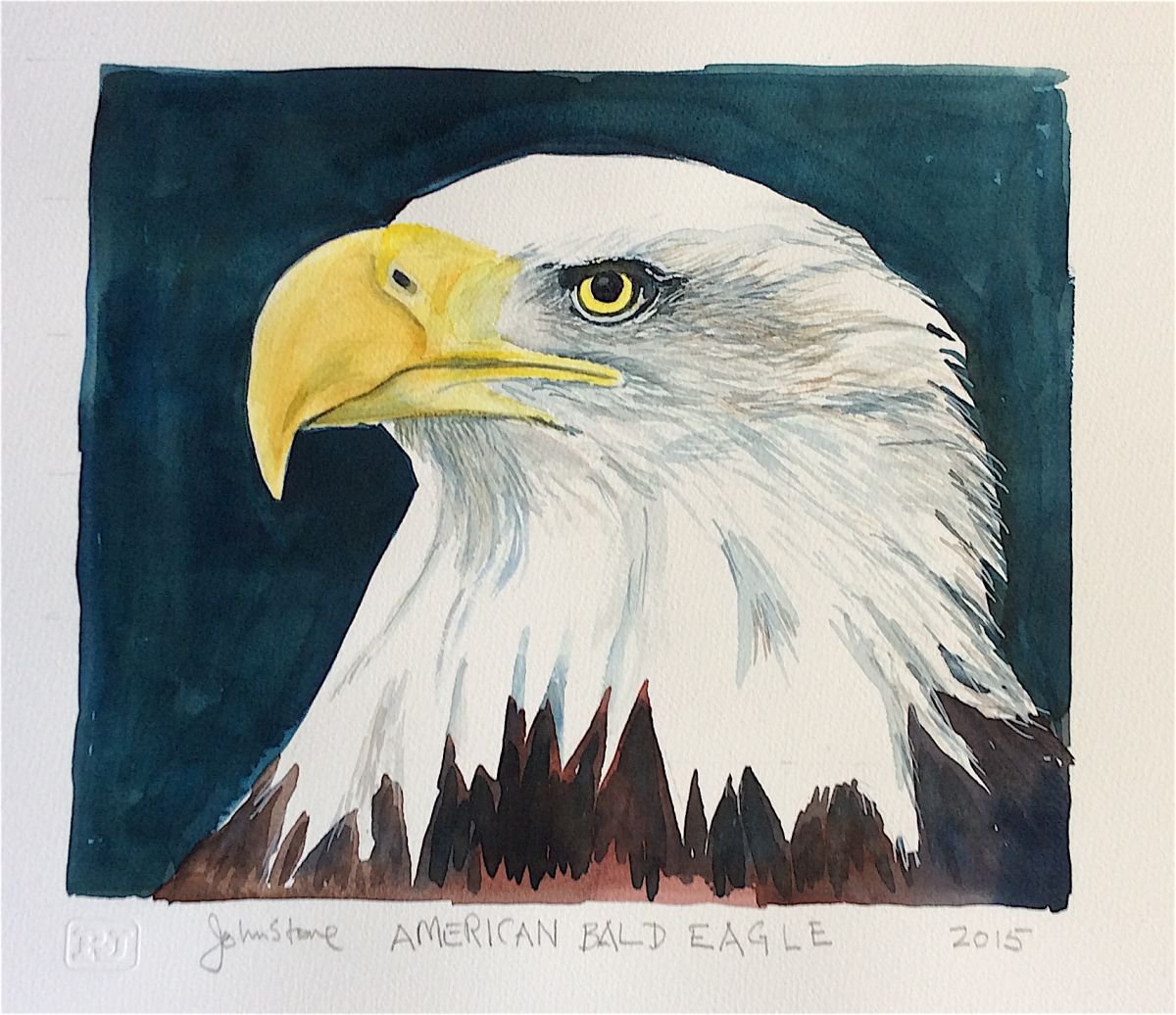 Hyacinth macaw for adoption image