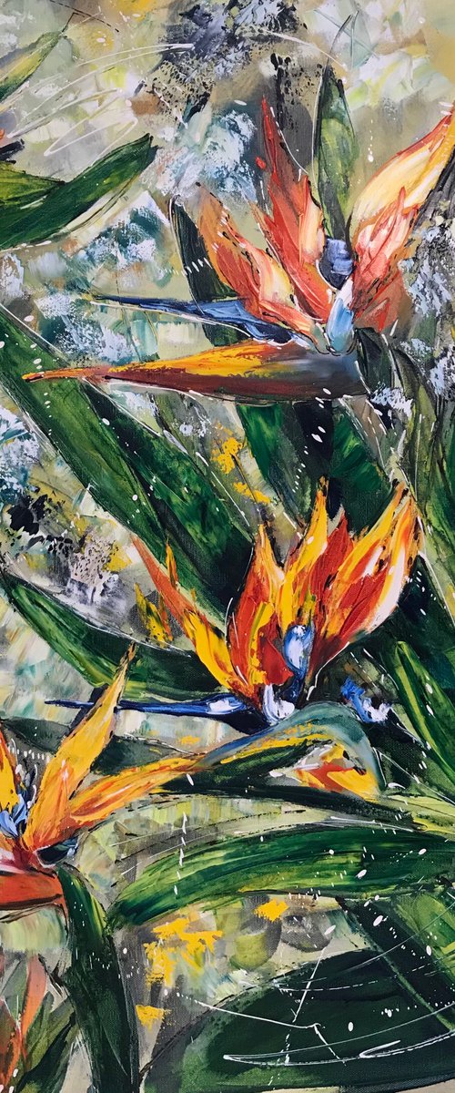 Strelitzia by Diana Malivani