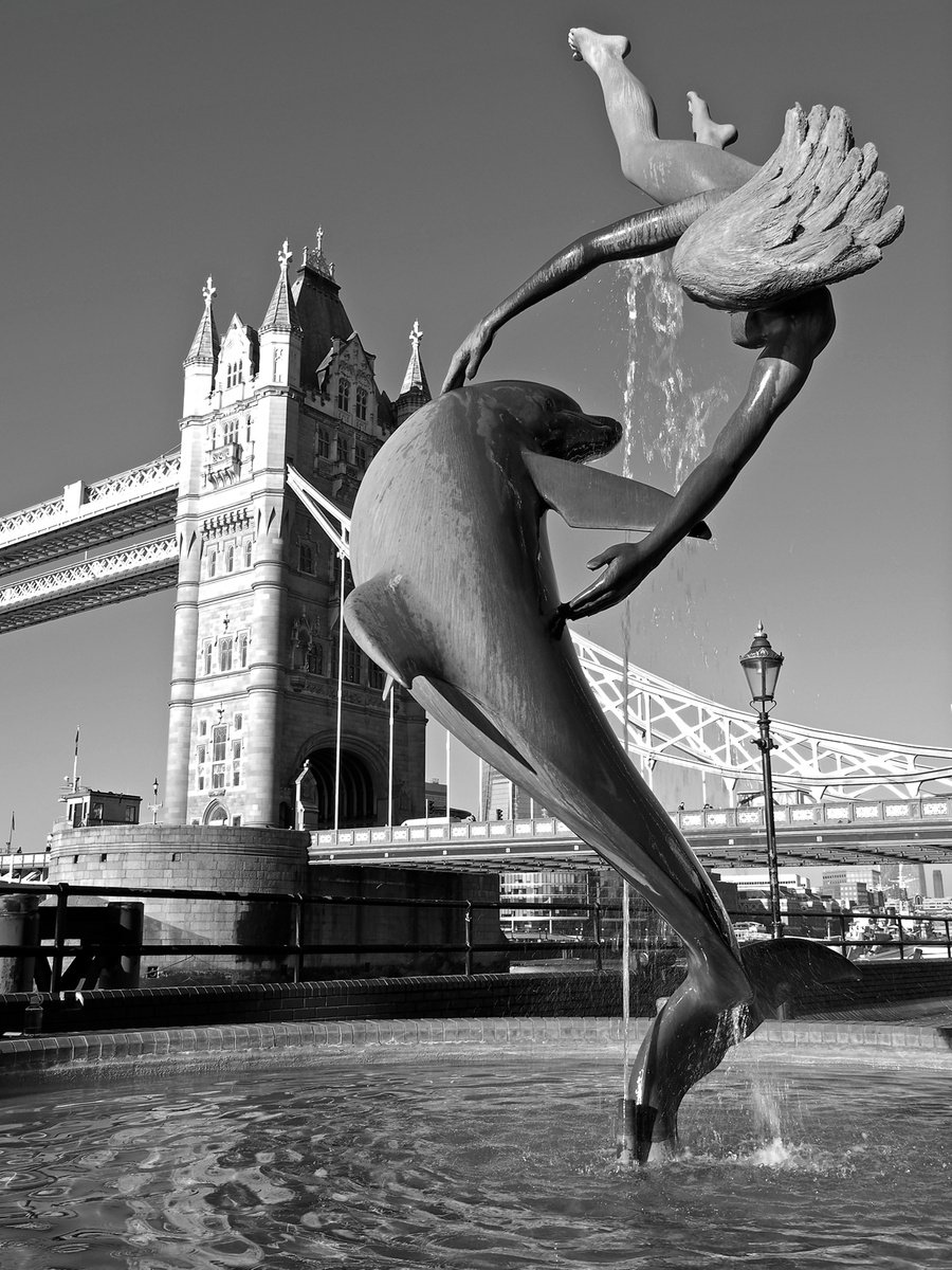 Girl With a Dolphin 2 by Alex Cassels