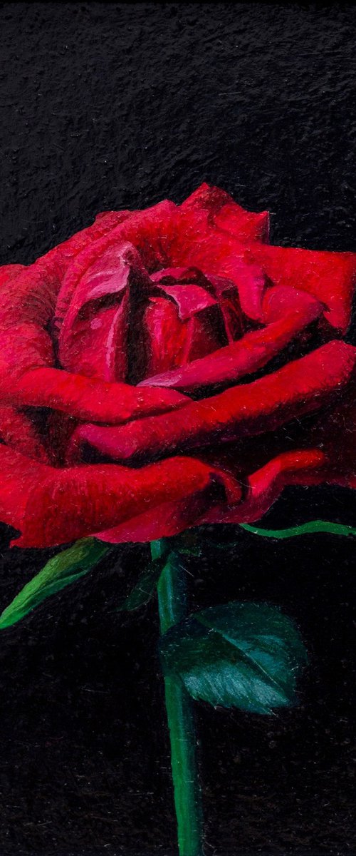 "The Red Rose" by Alexey Merzlikin