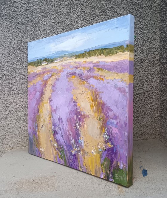 LAVENDER TIME