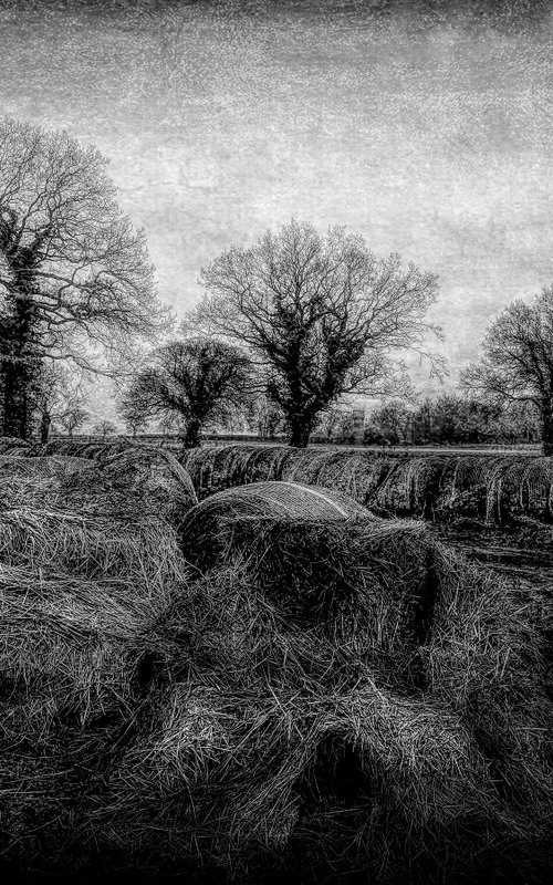 The Straw Bales by Martin  Fry