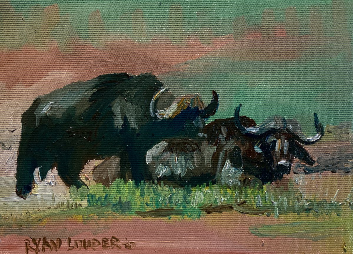 Water Buffalo- Small wildlife Painting 6x8 by Ryan Louder