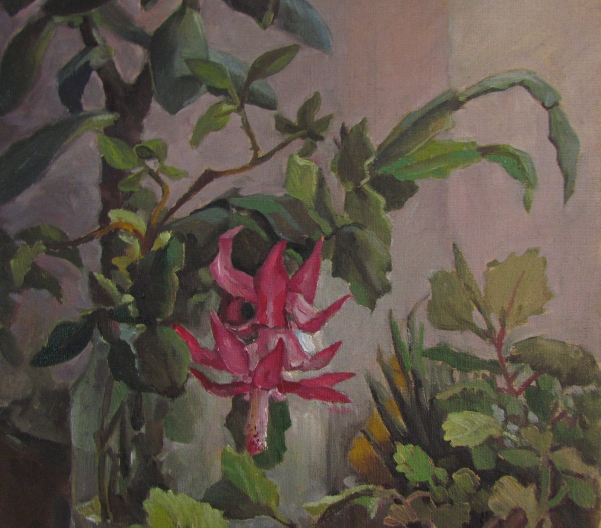 Christmas Cactus by Viktoriia Pidvarchan