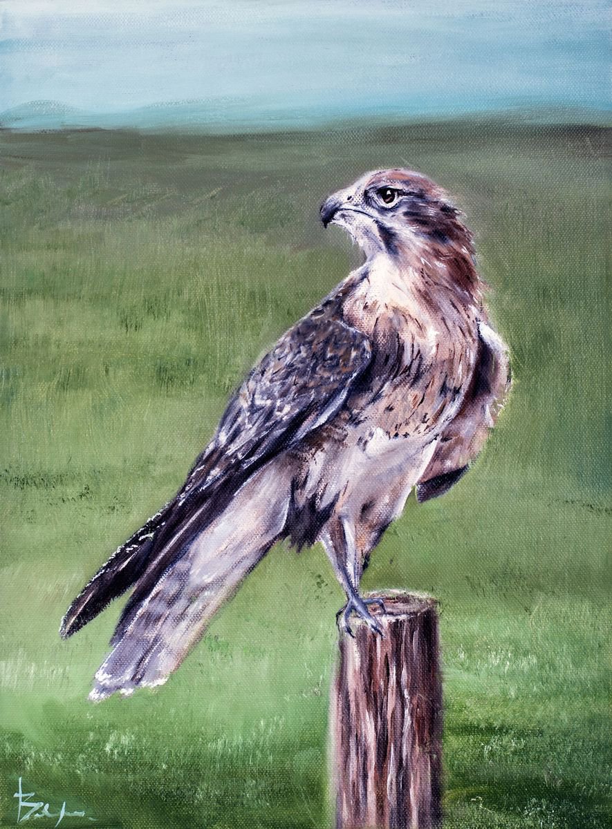 Brown Falcon by Veronika Joy