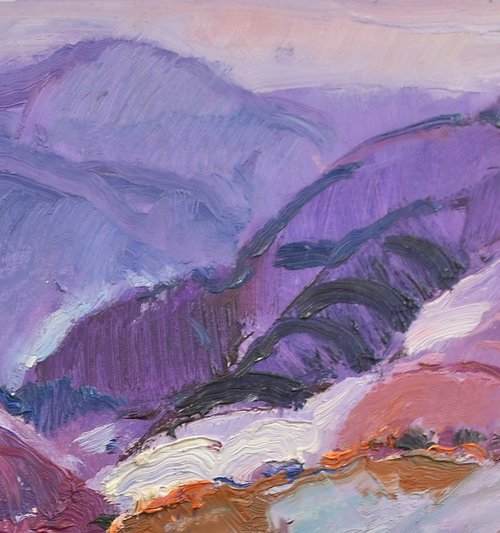 Purple Mountains by Alexander Shandor