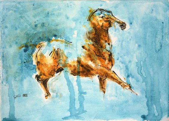 Equine Nude 16a