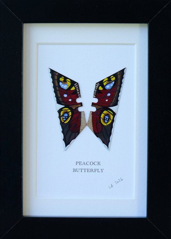 Peacock