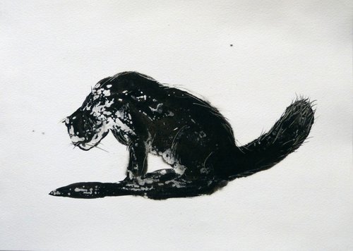 The Black Cat 1, ink drawing 29x42 cm by Frederic Belaubre