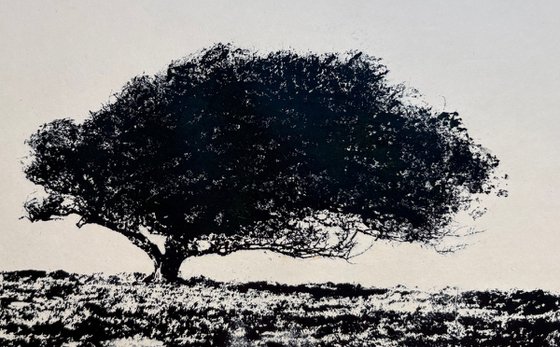 Memory of the Wind