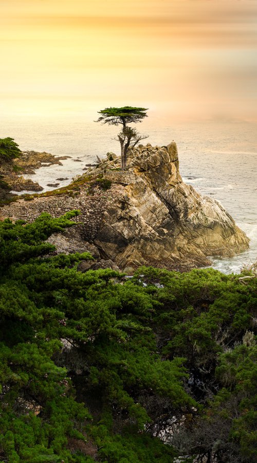 SUNRISE ON THE PACIFIC by Harv Greenberg