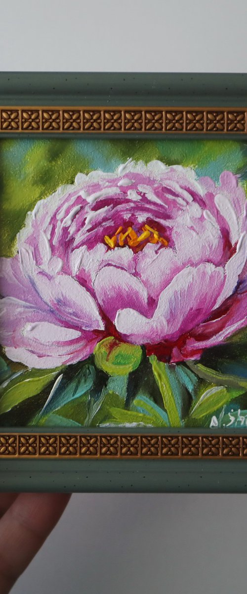 Peony by Natalia Shaykina