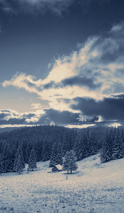 Flying over a snowy valley. by Valerix