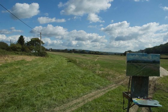 Landscape near Bury