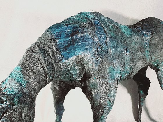 Equus