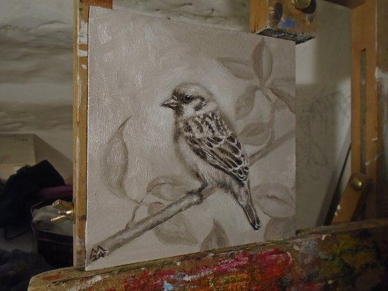 Tree Sparrow study