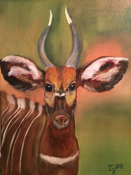 Young Kudu by Timea  Valsami