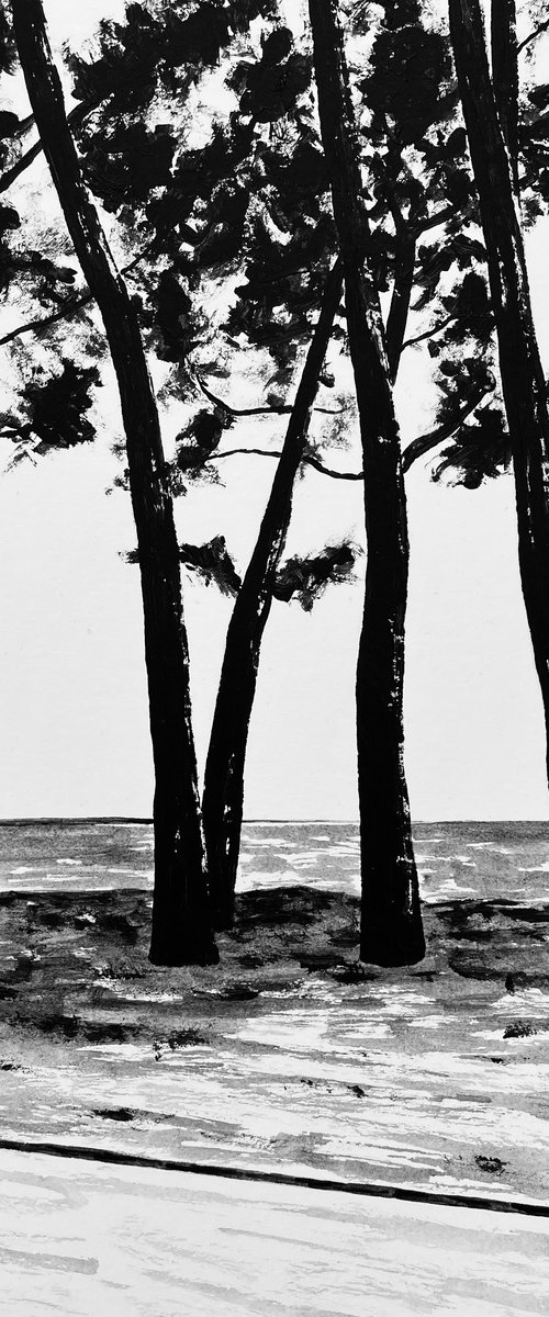 Cap Coz avenue by Cadiou Frederic