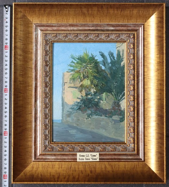 Palm trees. Sliema