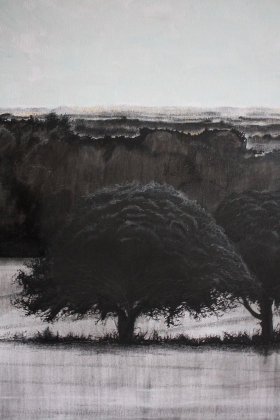 2 Trees Vista (Large Canvas).