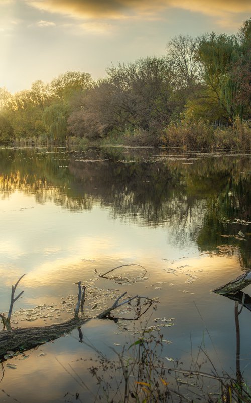 Old pond by Vlad Durniev