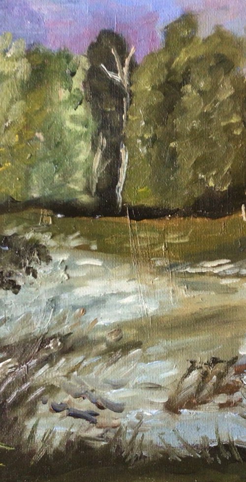 Lakeside view by Julian Lovegrove Art