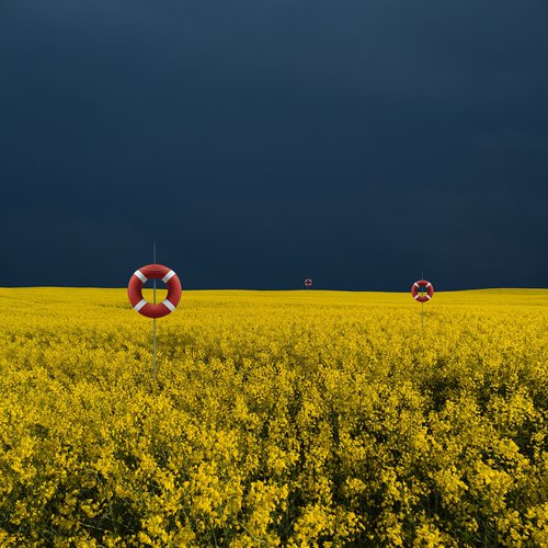 Yellow-Blue by Jacek Falmur