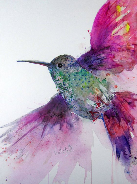 Hummingbird 3