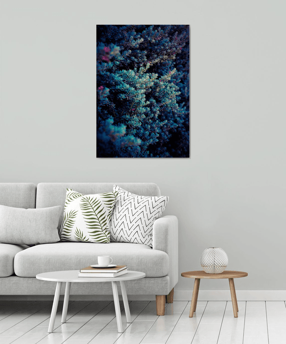 Spring | Limited Edition Fine Art Print 1 of 10 | 60 x 90 cm