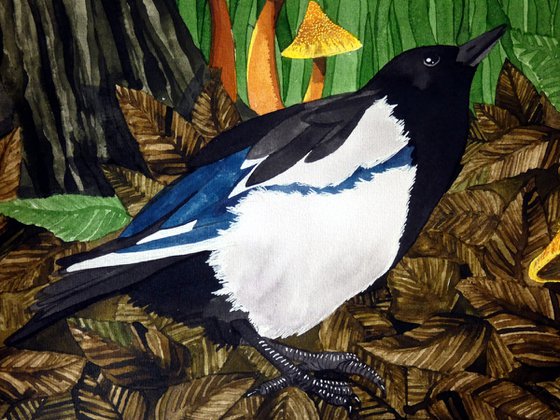 Naughty Magpies