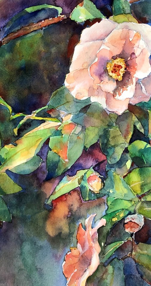 Blossoms by Bronwen Jones