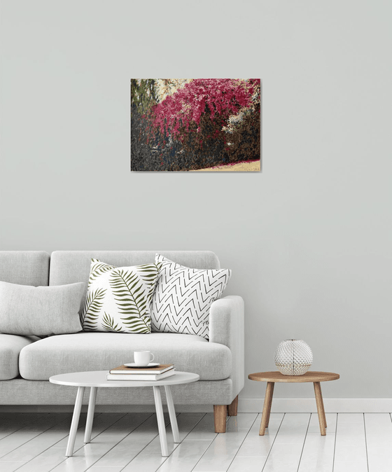Bougainvillea