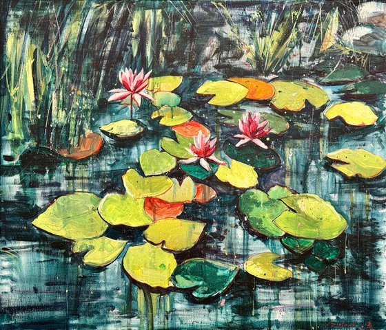 Lotus pond