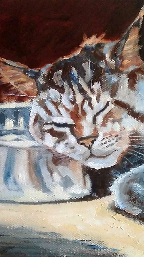 Night Watch, Cat Oil Painting Maine Coon Original Art Funny Sleeping Cat Artwork Pet Portrait Wall Art 40x30 cm by Yulia Berseneva