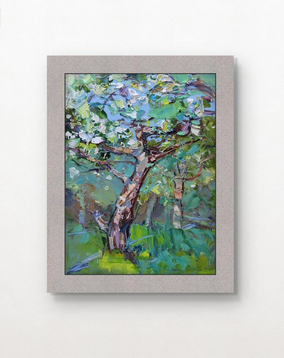Apple tree blossom