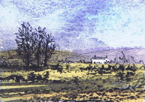 Bogscape 1 by Aidan Flanagan Irish Landscapes