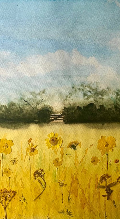 Field of Sun by Jill Simpson