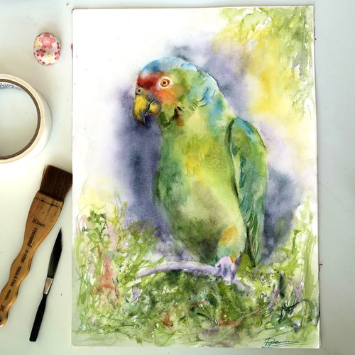 Parrot by Olga Tchefranov (Shefranov)