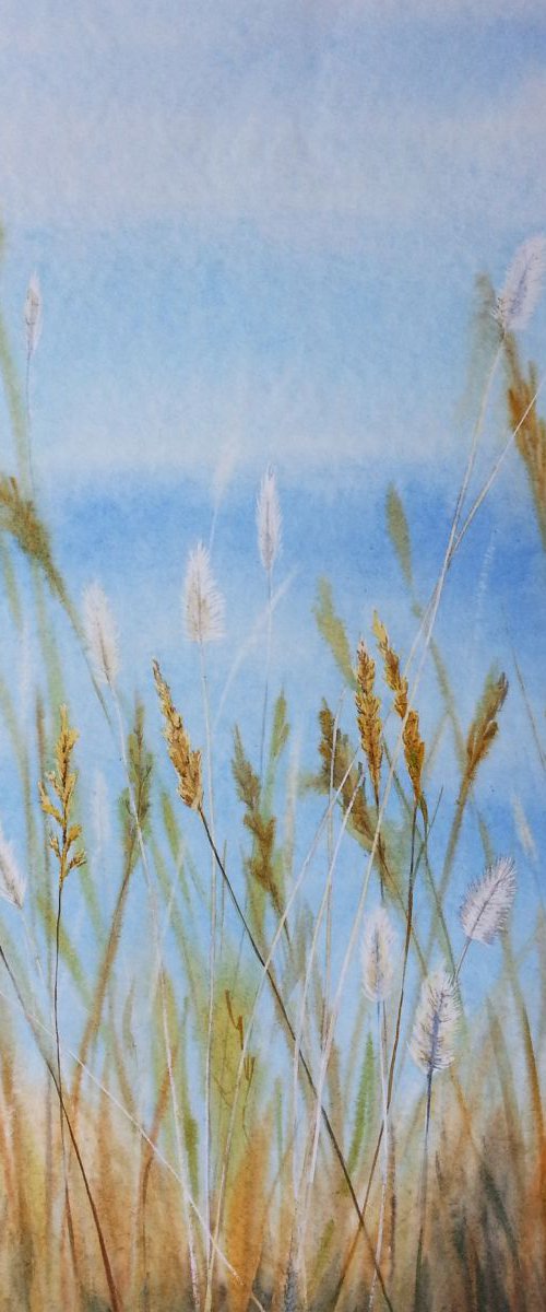 Dry Grass#2 by Olga Beliaeva Watercolour