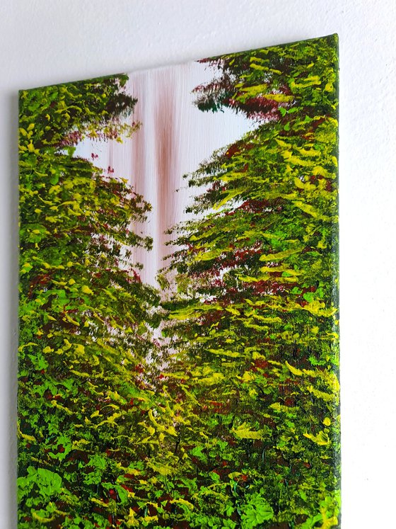 Nice Forest 1