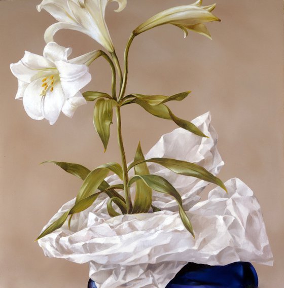 Study of a Lily