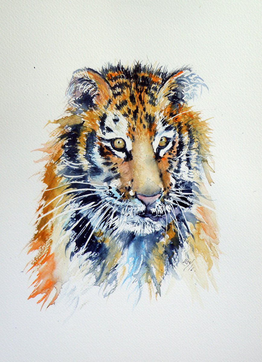 Tiger cub by Kovacs Anna Brigitta