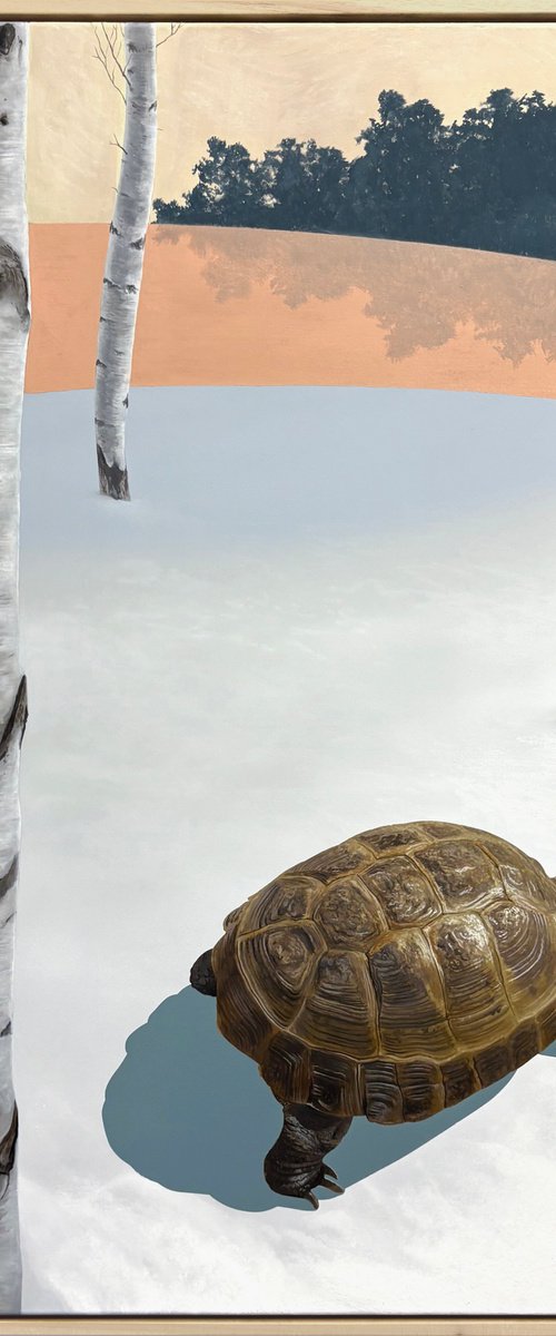 Can't See the Wood for the Trees by Joshua Daniels