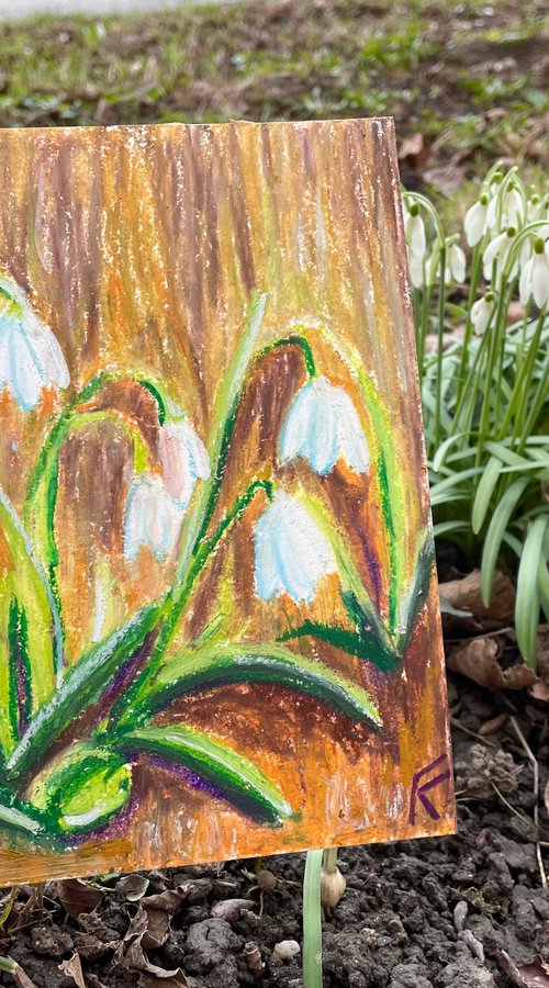 Snowdrops Original Oil Pastel Painting, Flower Hand Painted Card, Gifts for Her by Kate Grishakova