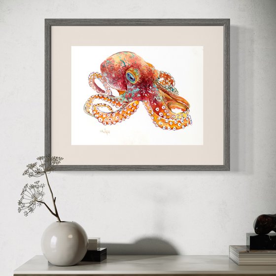 Octopus