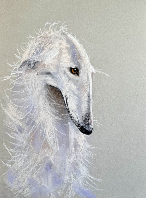 Dog Portraits Soft Pastel