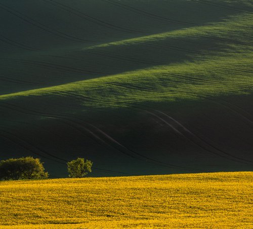 The wave by Pavel Oskin